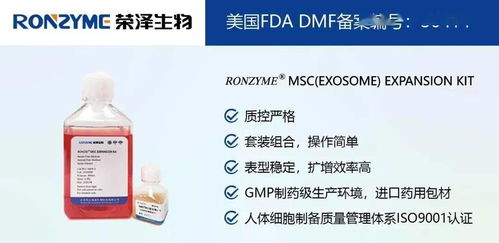 榮澤集團 市場調查成就斐然，穩健前行再譜新篇